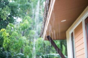 Rain