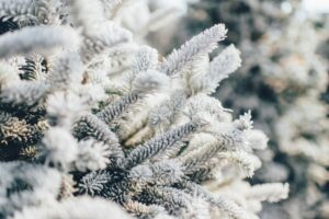 winter