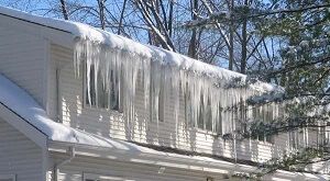 Winter home