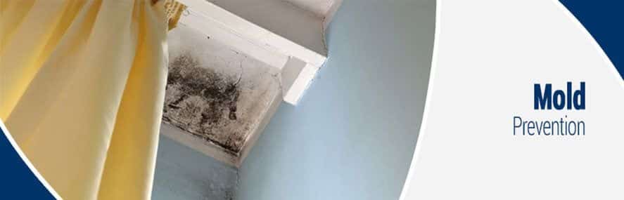 Mold prevention