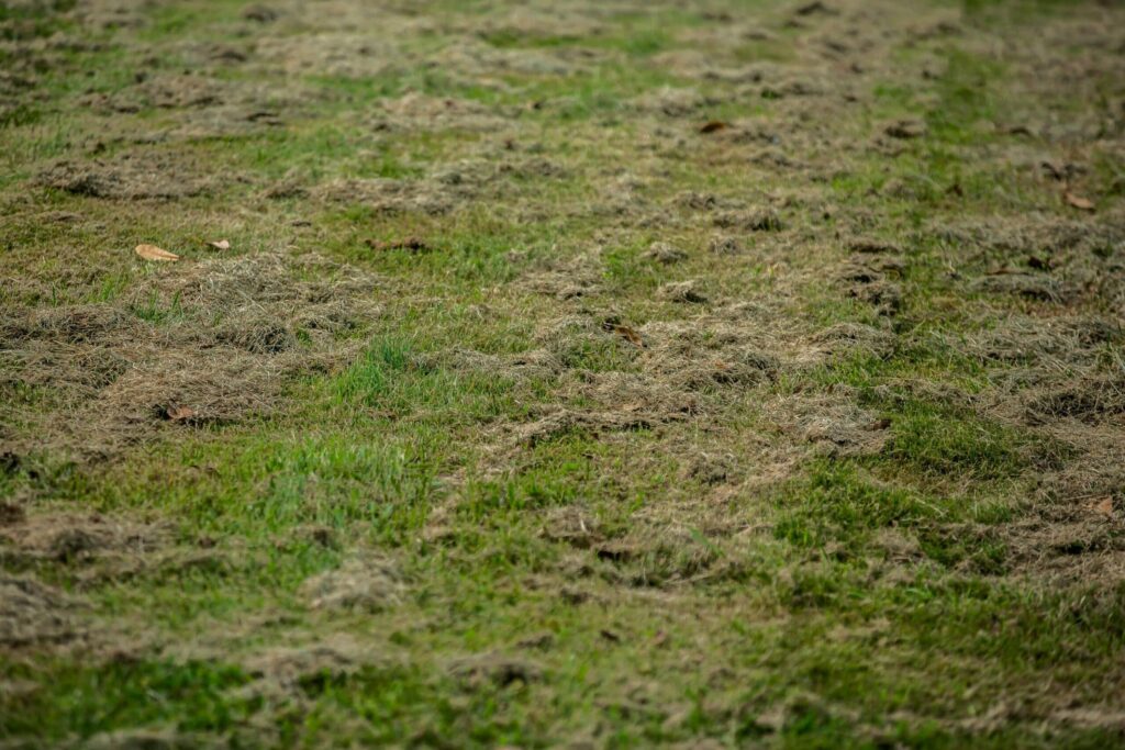 soil shrinkage can cause foundation issues in Kansas City